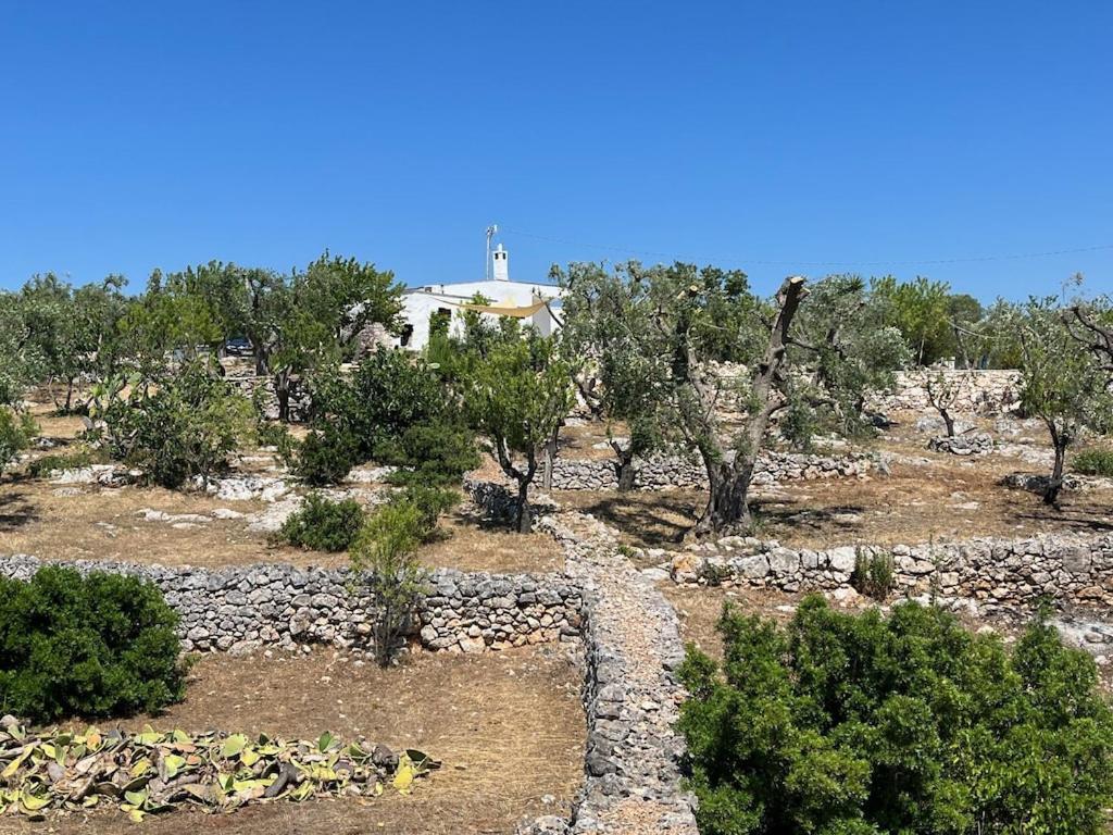 Casa Giuliveto - Charmantes Ferienhaus Mit Privatpool In Olivenhain Ostuni Zewnętrze zdjęcie