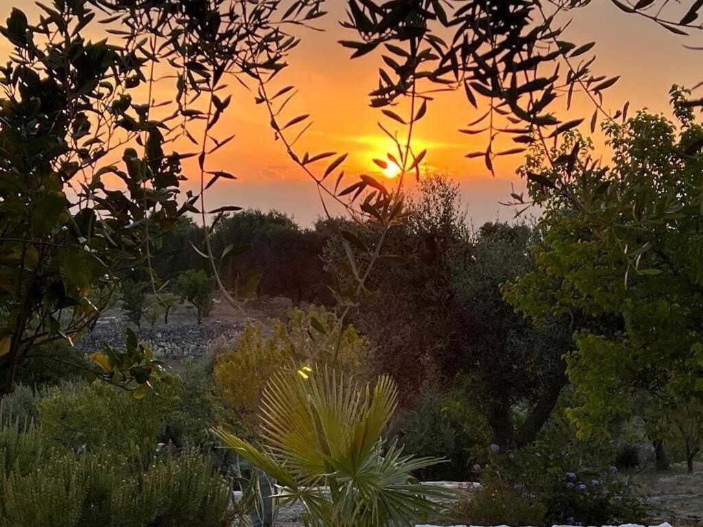 Casa Giuliveto - Charmantes Ferienhaus Mit Privatpool In Olivenhain Ostuni Zewnętrze zdjęcie