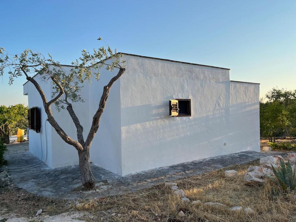 Casa Giuliveto - Charmantes Ferienhaus Mit Privatpool In Olivenhain Ostuni Zewnętrze zdjęcie
