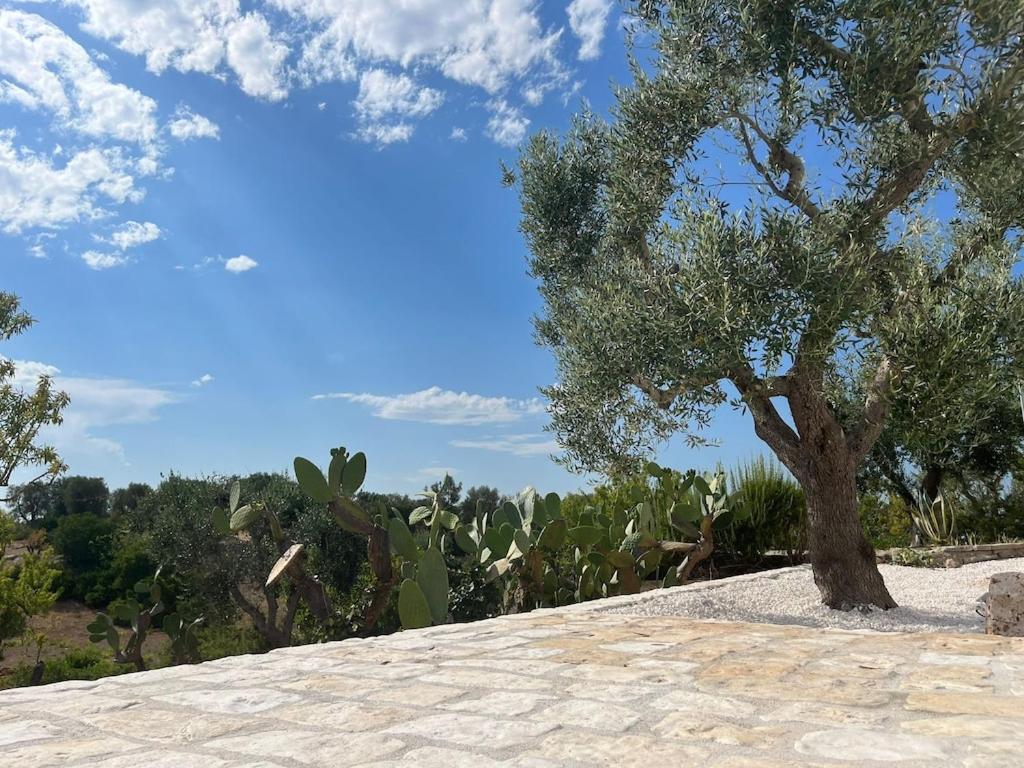 Casa Giuliveto - Charmantes Ferienhaus Mit Privatpool In Olivenhain Ostuni Zewnętrze zdjęcie
